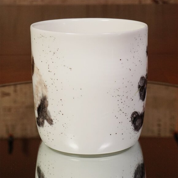 Rare Royal Worcester Coffee Mug Wrendale Designs By Hannah Dale Panda Bamboozled - Picture 7 of 10